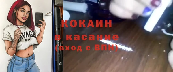гидра Абаза