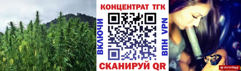 дарнет шоп  Астрахань  ТГК жижа 