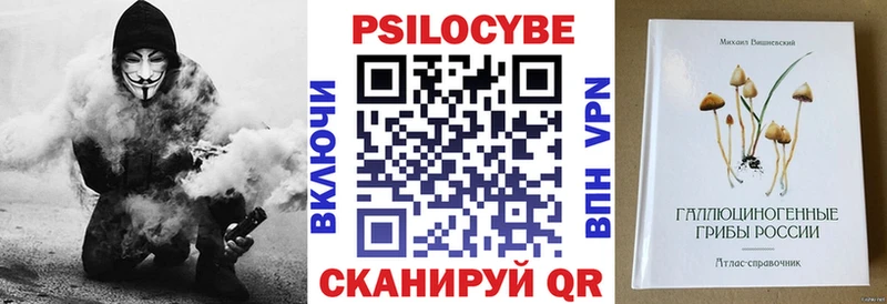 Галлюциногенные грибы Psilocybine cubensis  Астрахань 